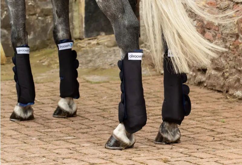 Cryochaps K2F Ice Wraps Quad Set